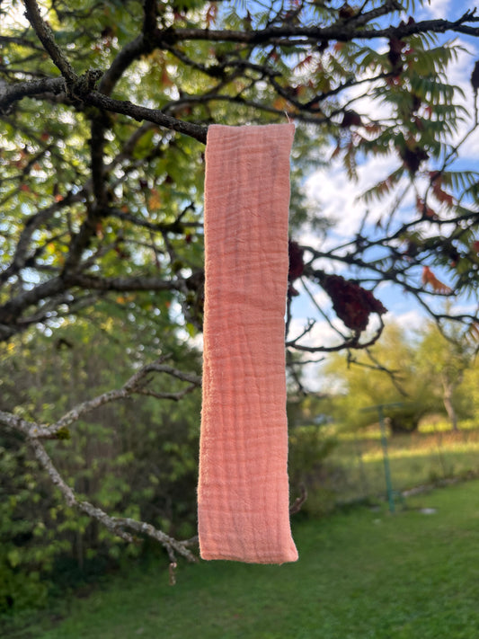 Bandeau pêche